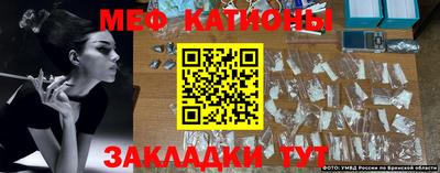 шишки Дубна