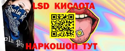 шишки Дубна