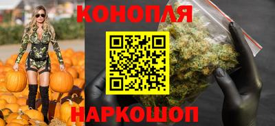 шишки Дубна