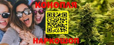 шишки Дубна