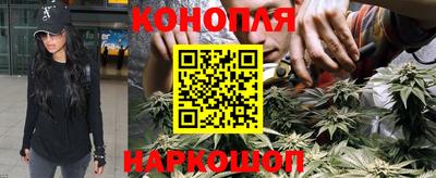 шишки Дубна