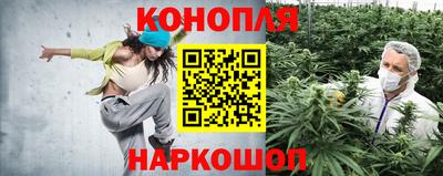 шишки Дубна