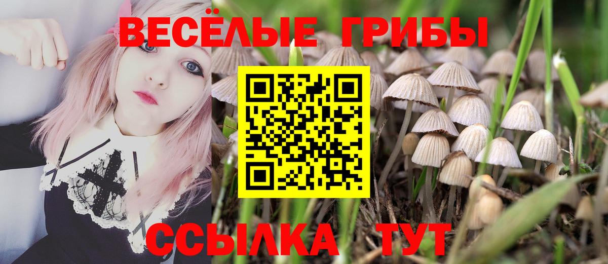 Галлюциногенные грибы Cubensis  Галлюциногенные грибы Psilocybe  Набережные Челны  Вход с VPN 