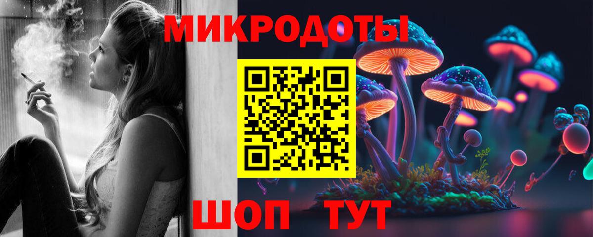 Галлюциногенные грибы Psilocybe Набережные Челны